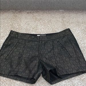 Black & Gold Dressy Shorts